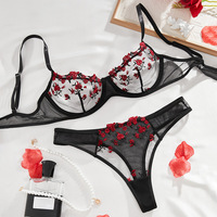 Ensemble de Lingerie Sexy à Broderie Florale pour Femme, Parure Délicate en Dentelle 2 Pièces