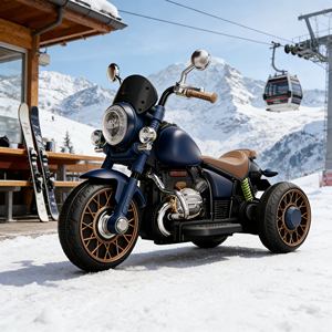 Tricycles électriques modernes à 3 roues et tricycle électrique fermé avec un design moderne à <span class=keywords><strong>trois</strong></span> roues et une cabine fermée pour la protection - Product Image 3