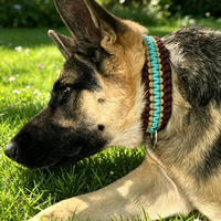 Collier pour chien en paracorde tressé avec boucle à dégagement rapide, collier pour animal de compagnie en nylon tissé durable pour l'extérieur avec anneau en D en métal