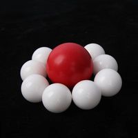 Balle en plastique POM pleine, calibre .50, .68, 17,27 mm, 17,3 mm