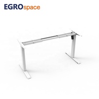 EGROspace Ordinateur debout réglable à moteur unique Bureau électrique ergonomique Fournisseur Bureau assis-debout