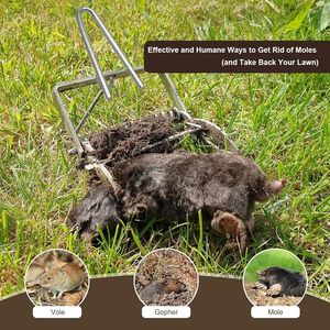 <span class=keywords><strong>Pince</strong></span> à taupe en aluminium à semi-conducteurs haute sensibilité Piège anti-insectes et anti-rongeurs facile à régler pour rats - Product Image 6