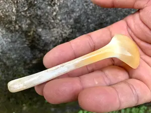 Cuenco de cuerno de búfalo natural hecho a mano con juego de cuchara a juego ecológico precio al por mayor accesorio de comedor sostenible - Product Image 3