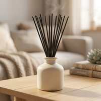 Bâtonnets diffuseurs écologiques sans colle 100 % fibres synthétiques noirs et blancs pour diffuseur d'arômes