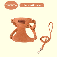 Harnais et laisse pour animaux de compagnie en faux daim doux, ensemble réglable anti-évasion, gilet pour chien et chat, logo personnalisé, sangle de promenade pour petit chiot