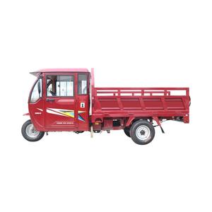 Tricycle motorisé de haute qualité à carrosserie fermée pour 2 adultes - Product Image 4