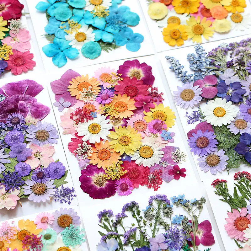 35-40 adet/paket preslenmiş çiçekler Mix çanta dört sezon serisi renkli çiçekler ve yapraklar çeşitler için reçine sanat zanaat Diy makyajları