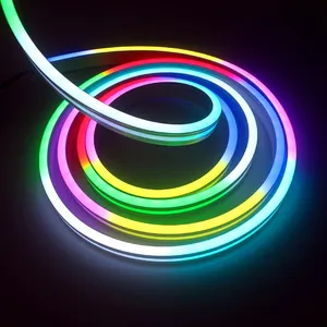 In Silicone al Neon flessibile striscia di musica di sincronizzazione di controllo vocale indirizzabile RGB Led striscia RGBIC Smart Wifi LED striscia luci al Neon