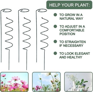 Tige de fixation de jardin Spirale en métal Fer Vert Plante <span class=keywords><strong>Support</strong></span> <span class=keywords><strong>pour</strong></span> vigne grimpante Cadre Plante verte - Product Image 5