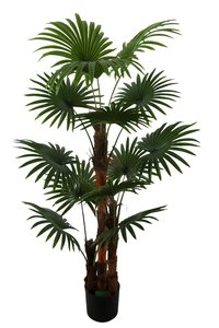 <span class=keywords><strong>Palmera</strong></span> Artificial Nórdica de Imitación, Planta Tropical Verde para Decoración de Interiores, Hogar, Sala de Estar y Paisajismo, Venta al Por Mayor - Product Image 5