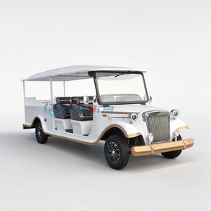 Carro Fúnebre Eléctrico Plateado Sencillo, Vehículo Fúnebre Eléctrico Práctico - Product Image 1