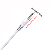 Câble USB pour vibromasseur, cordon de charge pour jouet pour adultes, 0,1 pouce, 2,5 mm, câbles de charge USB DC pour jouets pour adultes rechargeables, masseurs rechargeables