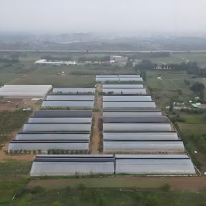 Grande petite serre agricole commerciale <span class=keywords><strong>Tunnel</strong></span> arc cadre galvanisé à chaud feuille de PC pour le laminage des cultures de légumes de tomate - Product Image 2