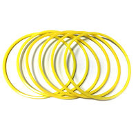 Yilin Pufferdichtungs-Set: Haupt-PU-Dichtungsringe, Zylinder-Staubdichtungen, Hochleistungs-Öldichtungen, Kartuschen-Mechanische Dichtungen