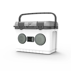 Ngoài trời di động âm thanh lồng ấp Hộp xe 28L sữa mẹ trái cây thực phẩm làm lạnh Loa tủ đông băng hộp mát - Product Image 1