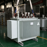 Transformateur de distribution immergé dans l'huile S11-M 10kV/400V, à faible perte et économe en énergie, tension d'entrée/sortie personnalisable