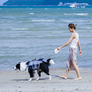 Correa retráctil para perro, Correa led elástica y retráctil con linterna, venta al por mayor, nuevo estilo - Product Image 6