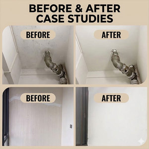 High Hiding Power <b>Scrub</b> Resistance Clean Taste Mildew Resistance Anti-Corrosion Exterior Wall Latex Paint Water-Based - Product Image 6