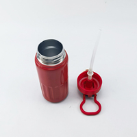 Bouteille d'eau isotherme personnalisée en acier inoxydable à double paroi de 500 ml avec paille pour le voyage