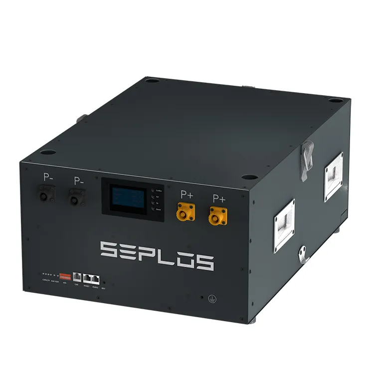 Seplos मेसन 51.2V 230AH DIY किट बैटरी पैक फैक्टरी थोक LiFePO4 सौर ऊर्जा भंडारण बैटरी मामले