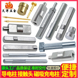 Conductive Posts Pins Magnetic Charging Contacts High Precision 20mm Max Diameter Customizable For Electrical Applications - Product Image 5