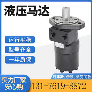Motor Cicloidal Yunyang BM2-80, Conexión Tipo Placa, Compatible con Aceite Eaton 101-1703-009, en Existencia - Product Image 4