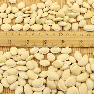 ขายส่งสีขาวผักตบชวาถั่ว YAO BIAN DOU แห้งสีขาว Lablab ถั่ว - Product Image 2
