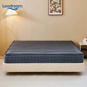 <b>Mattress</b> <b>Topper</b> <b>Foam</b> Pillow Top Contemporary Design Ice Silk Fabric Cover Polyester Material Bedroom Home Furniture - Product Image 2