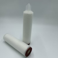 Cartouche filtrante en membrane PTFE hydrophobe 0,22 µm abordable, filtre de ventilation économique 10 pouces pour réservoirs ou air de processus basique