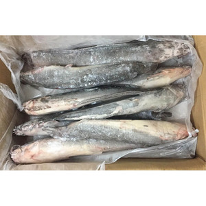 Bagre Congelado en Venta, Bagre Entero Vivo, Venta al por Mayor a Bajo <span class=keywords><strong>Precio</strong></span> - Product Image 3