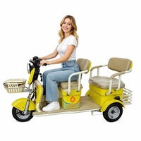 Tricycle électrique à châssis ouvert 1000W 60V pour adultes/personnes âgées, 3 roues, moteur sans balais à moyeu arrière, 3 vitesses, châssis en acier, 2 places