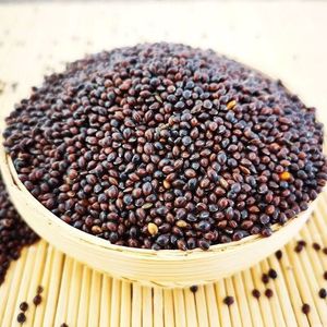 Millet noir Premium Alimentation animale - Product Image 3