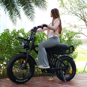 Bicicleta Eléctrica de Montaña VOMO, 20 Pulgadas, Neumáticos Anchos, Motor sin Escobillas de 250W, Doble Suspensión, Cuadro de Aluminio, Batería de Litio de 48V, X90Max - Product Image 4