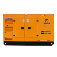 Groupe Electrogene Generator Inverter 30kW 40kW 50kW 100kW 200kW 300kW 400kVA Dieselgeneratoren Geräuscharm