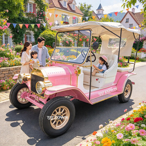 Voiture électrique vintage classique 6 places personnalisée ZOWN pour excursions touristiques et mariages en station balnéaire - Product Image 2