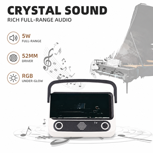 可播放TF卡中的MP3 音频，免提通话，无线麦克风，BT5.3扬声器，立体声A2DP，充电+音频组合插孔，适合户外使用 - Product Image 3