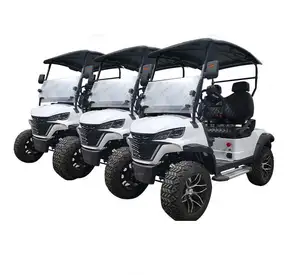 Carts Electric Motorized Walking Semi-Comleted Vehicles / 2 Seat Wetruth Sightseeing Switch 8 Pole Two Wheel Fat Tire Golf Cart
