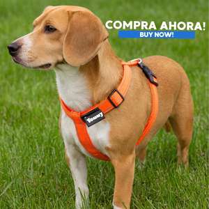 Harnais pour chien Yommy en nylon réfléchissant, réglable sur quatre points, anti-traction, confortable et léger - Product Image 6