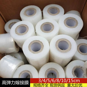 Grafting <b>Film</b> PE <b>Self</b> <b>Adhesive</b> Tape 1.5 In Core Diameter No Residual For Garden Fruit Trees Protection - Product Image 5