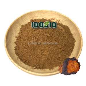 Черный золотой экстракт грибов чага - Product Image 4