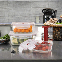 Boîte à lunch moderne en verre borosilicate écologique, récipients de conservation alimentaire sans plastique avec couvercle en silicone robuste et hermétique
