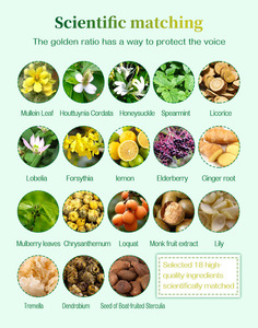 कैफीन मुक्त स्लिमिंग मल्लिन पत्ती ताजा फूल स्वाद बैग और बोतल विकल्पों के साथ थोक पैकेजिंग - Product Image 2