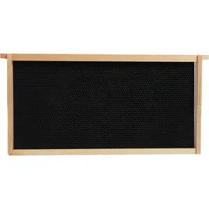 Beehive Frames with Plastic Foundation Kit Brood Wooden Frames with Foundation