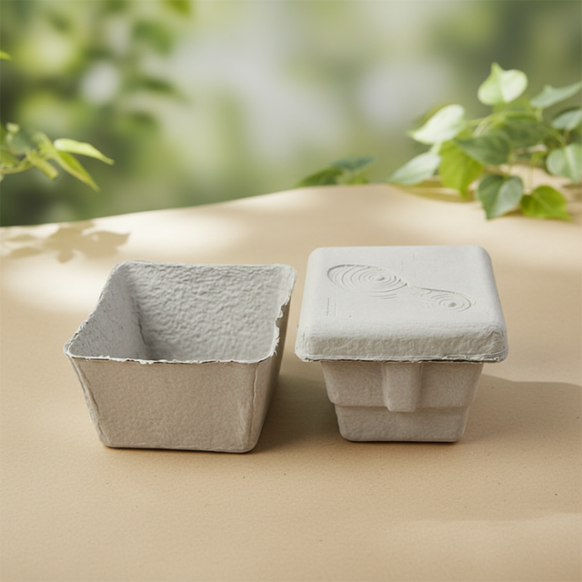 Custom Corrugated Shoe Box with Biodegradable Molded Pulp Insert