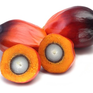 Pasokan pabrik kemurnian tinggi murni alami kualitas makanan bubuk segar buah palem bubuk beku kering bubuk buah Palem - Product Image 2