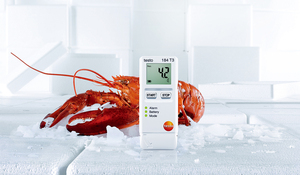 Original et nouveau Testo <span class=keywords><strong>184</strong></span> T3-Enregistreur de données de transport USB de température avec écran LCD - Product Image 6