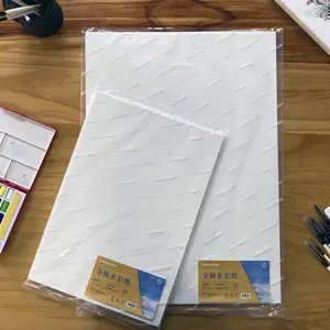 Confezione di carta per acquerelli in cotone 100% pressa a freddo 540x787mm