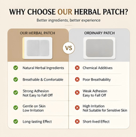 Parche Herbal para Alivio Rápido del Dolor de Cuello, Hombros y Espalda, con Calor de 24 Horas, a Base de Hierbas Naturales, OEMDirect, Proveedor Verificado