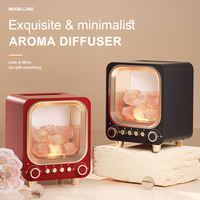 Diffuseur d'arôme de parfum d'huile essentielle de parfum d'aromathérapie de brume fraîche professionnelle de Offre Spéciale