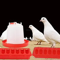 Fournitures d'alimentation en plastique, ensemble de mangeoire et d'abreuvoir pour poulets de 1 L, distributeur d'aliments à couvercle rabattable pour la volaille de petite taille, oiseaux de cour